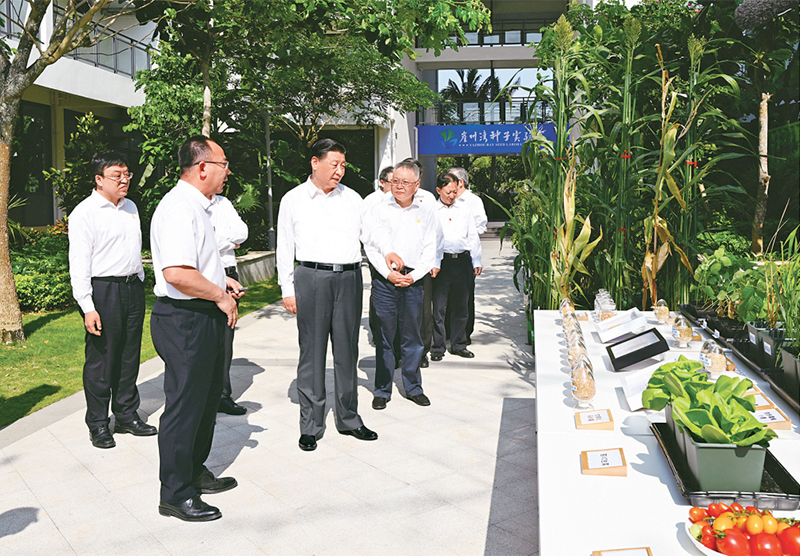 加快建设农业强国 推进农业农村现代化5