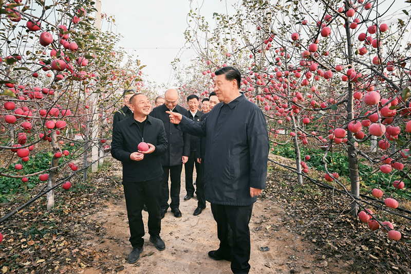 加快建设农业强国 推进农业农村现代化2
