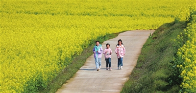 2荫平镇三坝村,小朋友欢快地奔跑在油菜花田间。记者 熊伟 摄
