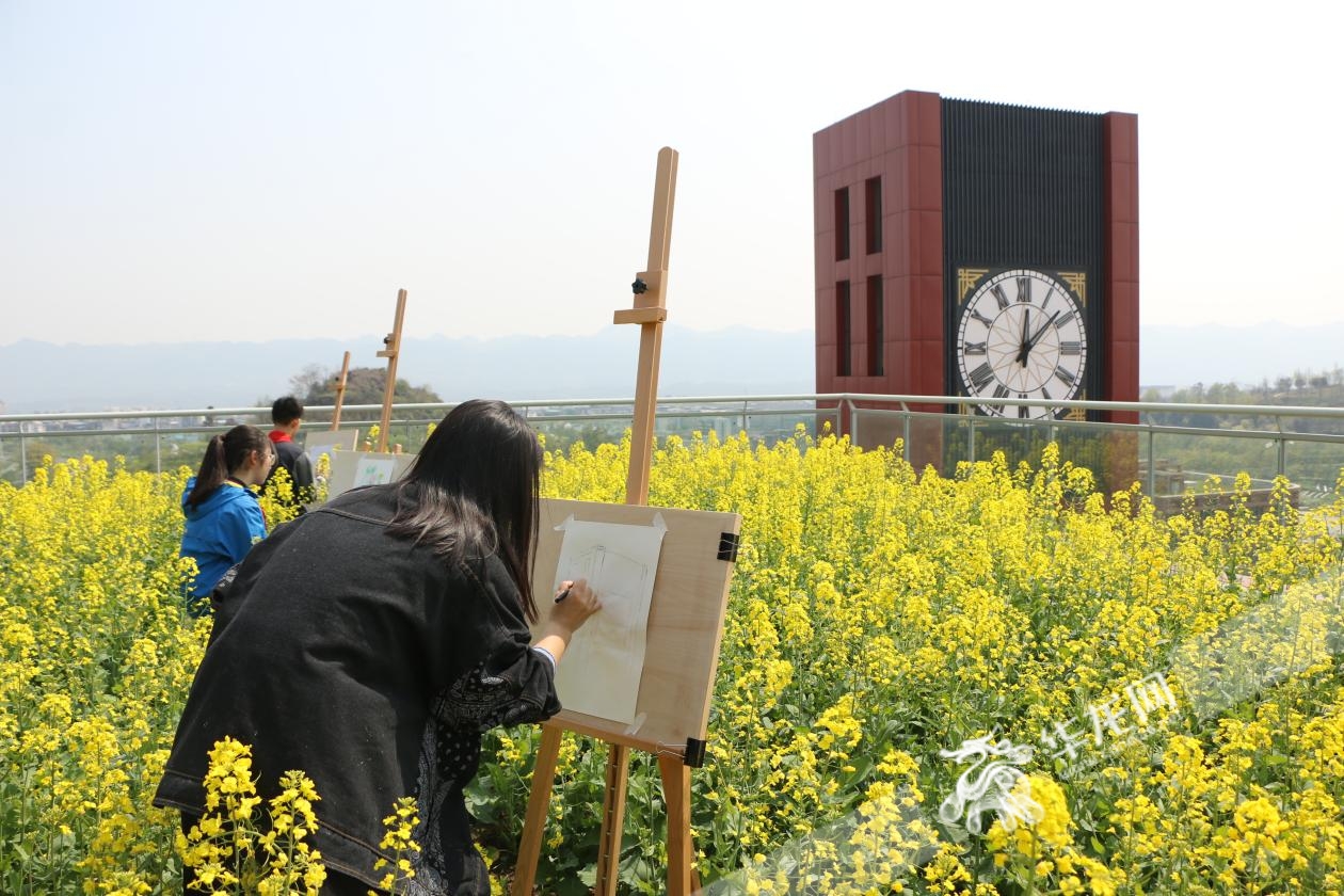 重庆版《花儿与少年》！沉浸式打探重庆八中龙兴中学“空中秘密花园”