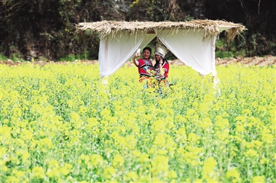 游客在彭水县太原镇区阳村观赏油菜花，享受春光。记者 廖唯 摄