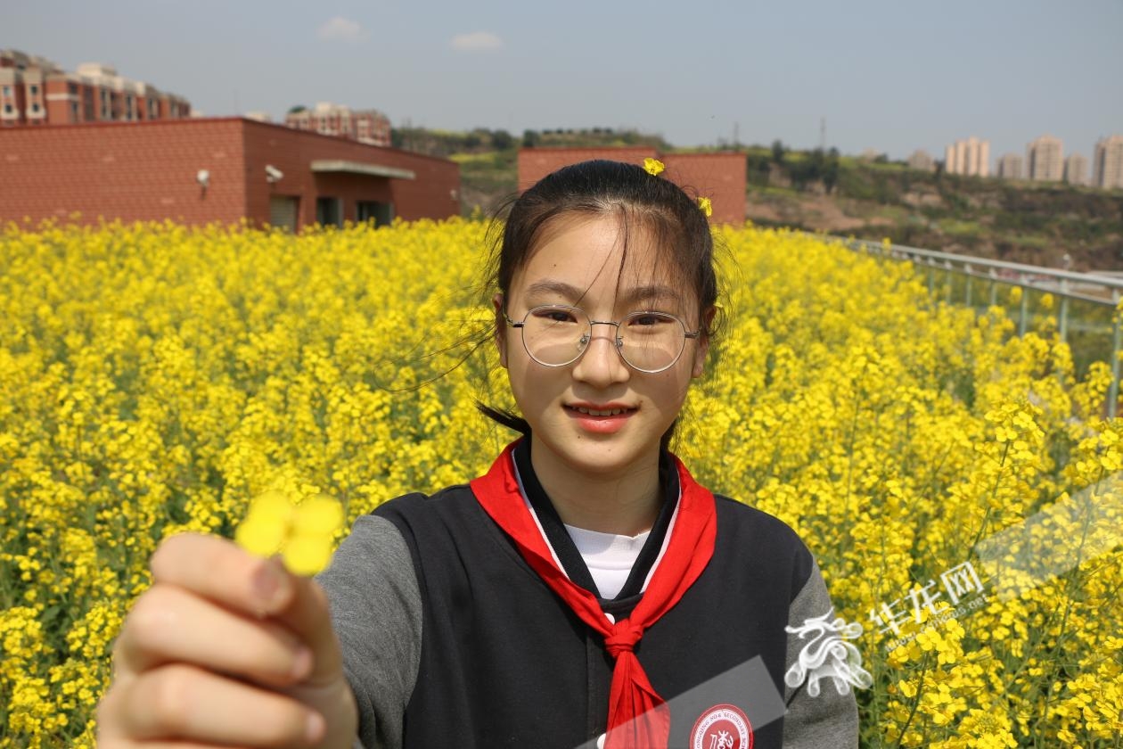 重庆版《花儿与少年》！沉浸式打探重庆八中龙兴中学“空中秘密花园”