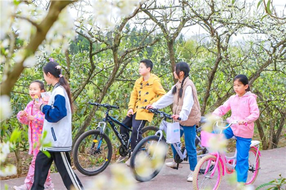 孩子们被梨花吸引停下自行车赏花。记者 罗昌泽 刘文静 摄