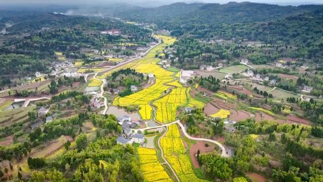 赏花踏青、露营听音乐……重庆发布200余项春季文旅活动3