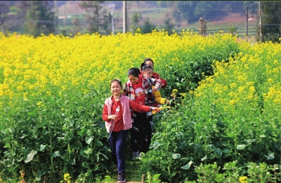 七星镇仁安村，孩子们在油菜花丛中嬉戏。记者 向成国 摄