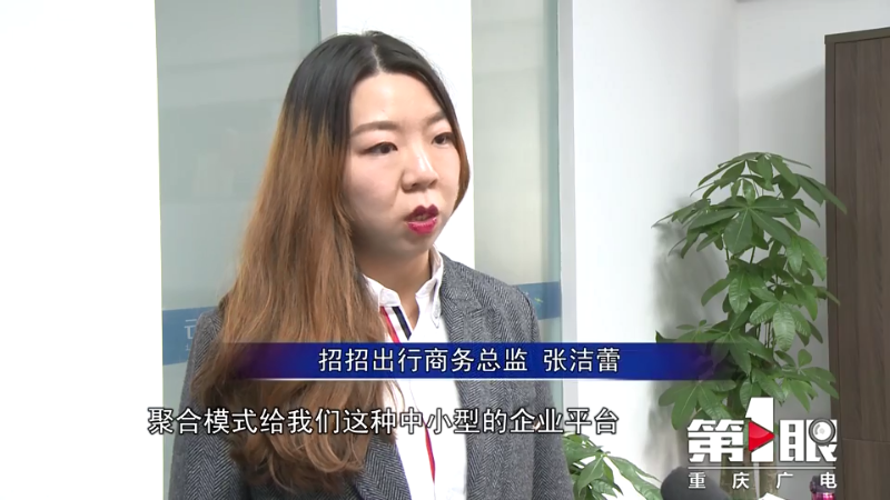 聚合平台崛起 网约车行业格局生变7