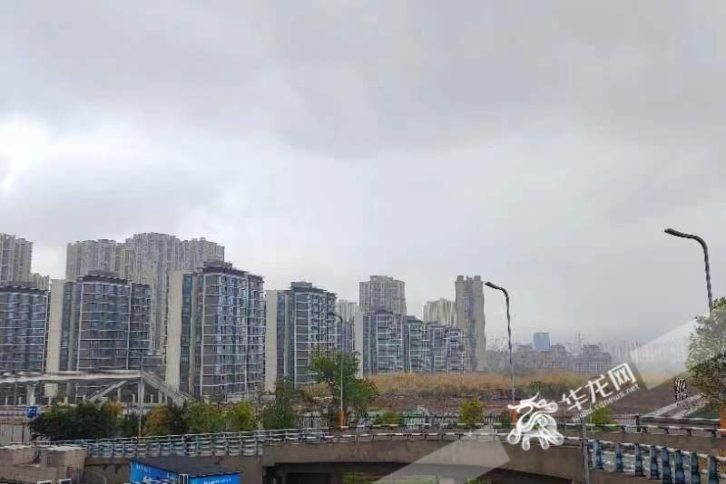今天重庆中心城区是阴雨天气。华龙网-新重庆客户端记者 石涛 摄