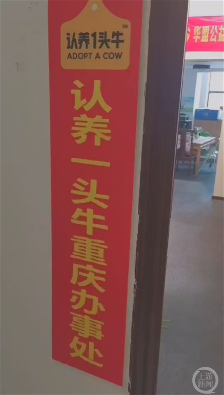 此“1头牛”非彼“一头牛” 女子投资“云养牛”被骗上万元1