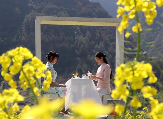 游客在花海中赏花品茶。特约通讯员 李诗素 摄