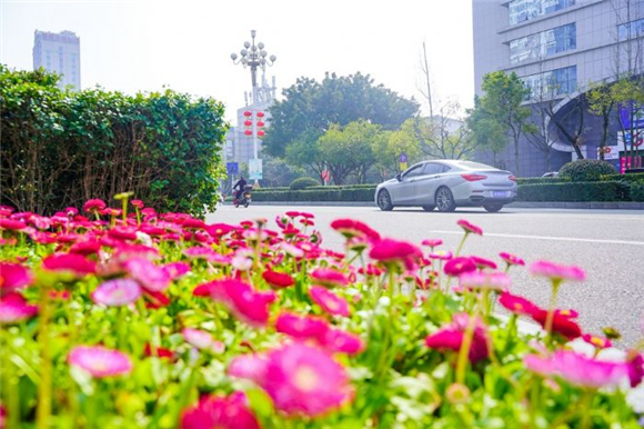2花朵装点城市的每个角落。记者 邓越月 李彦亭 胡义双 摄