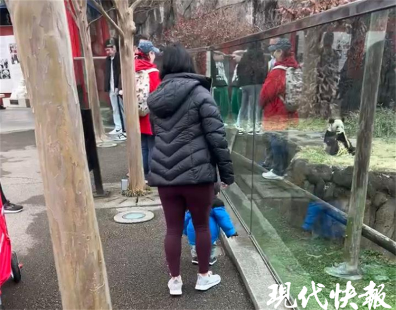 当地华人接力守护:我们就想让丫丫在回国前能吃饱!2