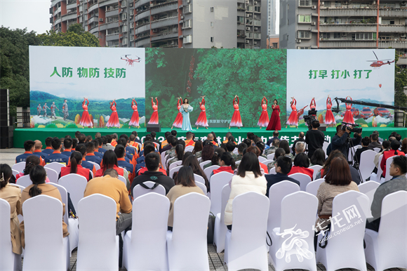 森林防火主题歌舞表演。华龙网-新重庆客户端记者 张质 摄