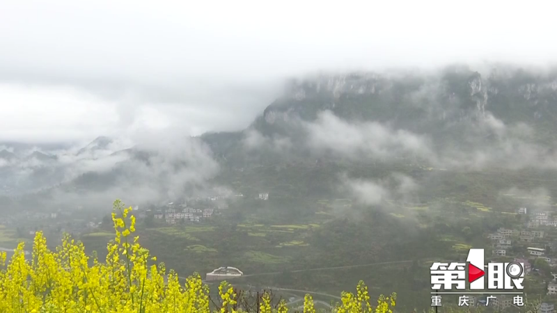 黔江:山涧云雾伴春花4