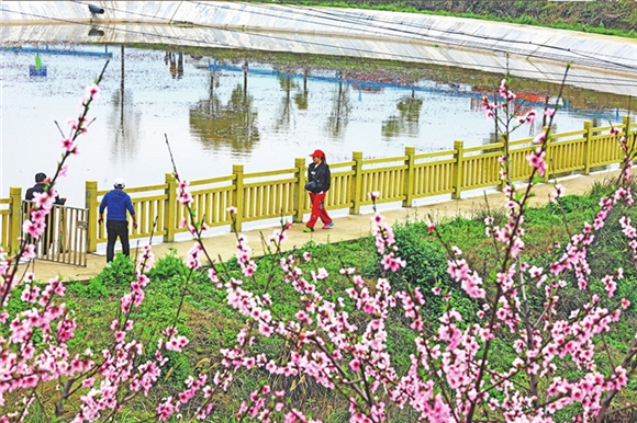 4市民踏青赏花，尽享春日美好。记者 胡瑾 摄