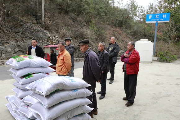 黔江区人大常委会办公室将10吨复合肥送到阿蓬江镇青杠村。通讯员 陆显德 摄