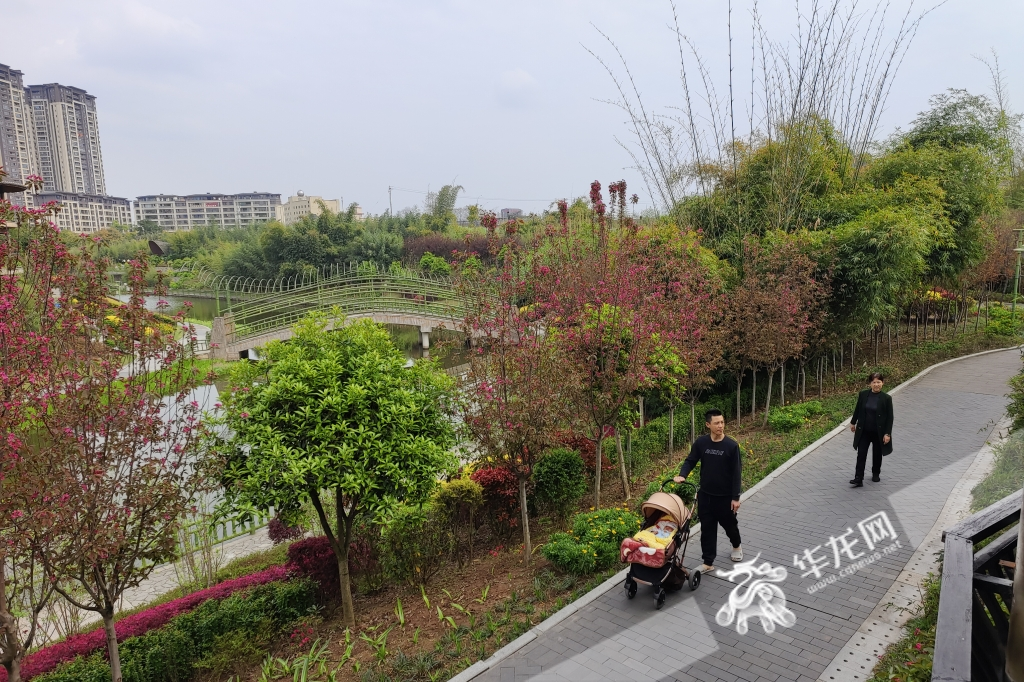 03--22日下午，市民在荣昌区荣峰河边散步休闲。华龙网-新重庆客户端记者 石涛 摄