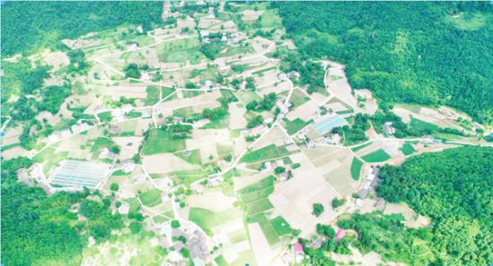 2022年建成的竹贤乡福坪村高标准农田项目区。记者 向君玲 摄