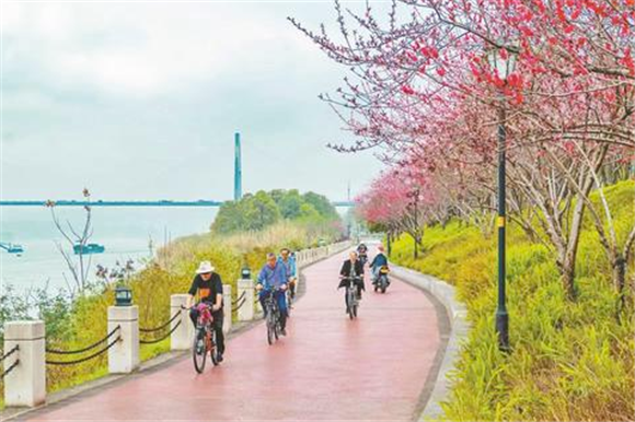 市民在鲜花盛开的江津滨江路上骑行。张应平 摄