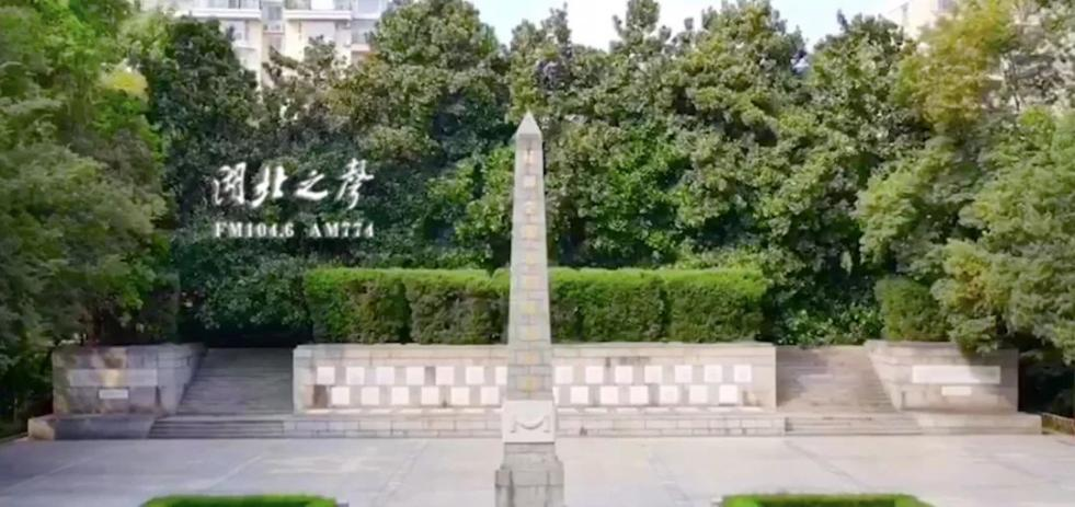 未命名图片8