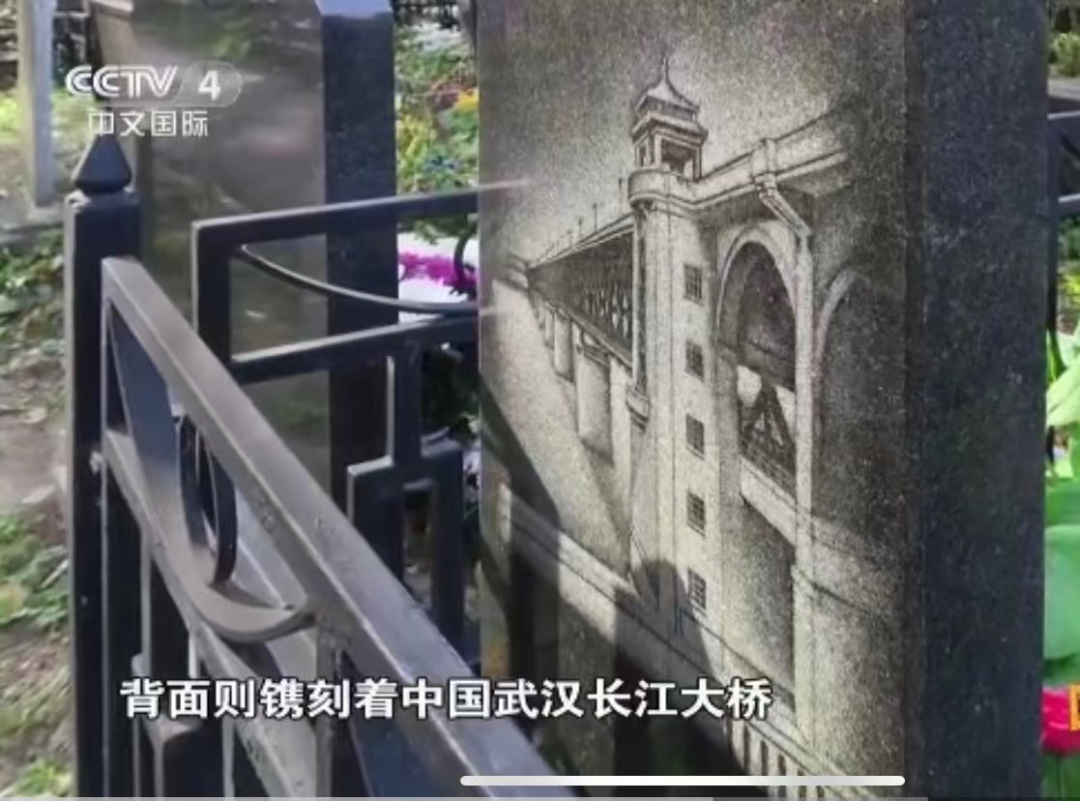 未命名图片11