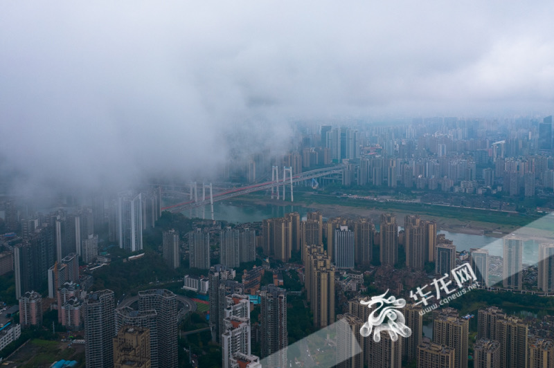 3月25日，重庆中心城区阴雨天气为主。华龙网-新重庆客户端记者 张质 摄