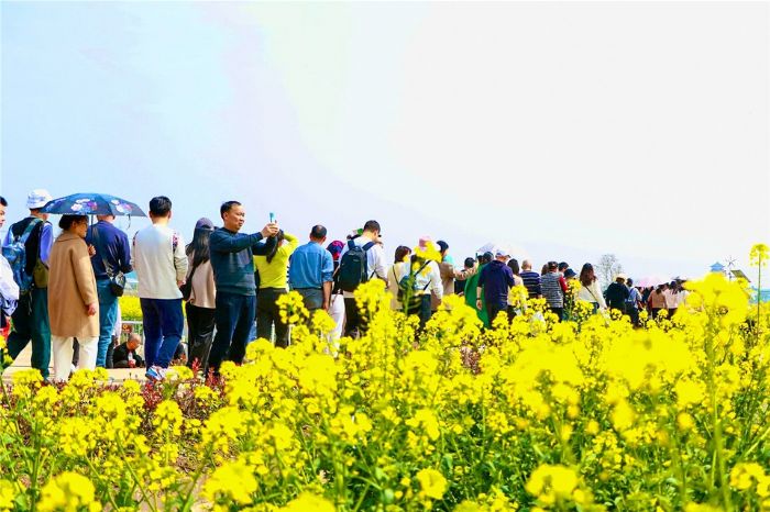 潼南：多业态催热“新经济”为城市发展赋“新能”3