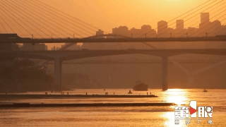 川渝好风光 | “黄葛晚渡”奇景再现4