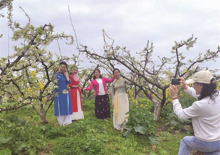游客在马武镇文观村李子园拍照打卡。记者 刘雷 摄