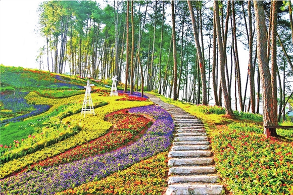 五彩鲜花铺设的林间小道，浪漫至极。渝北区文化和旅游发展委员会供图