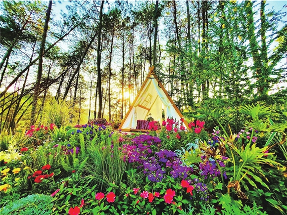 7鲜花丛中的的小帐篷。渝北区文化和旅游发展委员会供图
