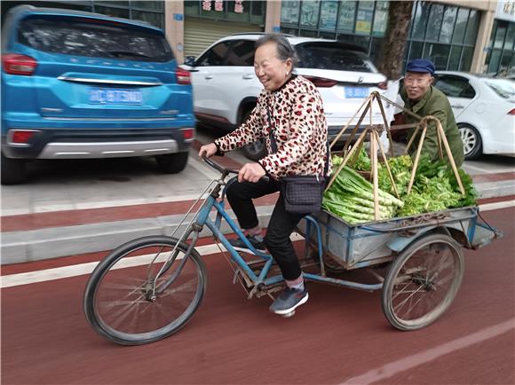 2大足区棠香街道和平村2组村民用三轮车拉着蔬菜进城贩卖。特约通讯员 蒋文友 摄