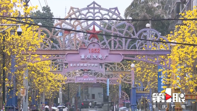 当涂鸦街遇上“金色风铃”1