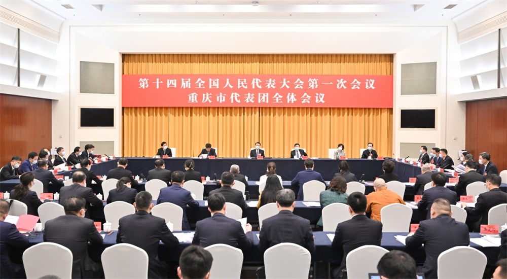重庆代表团举行全体会议