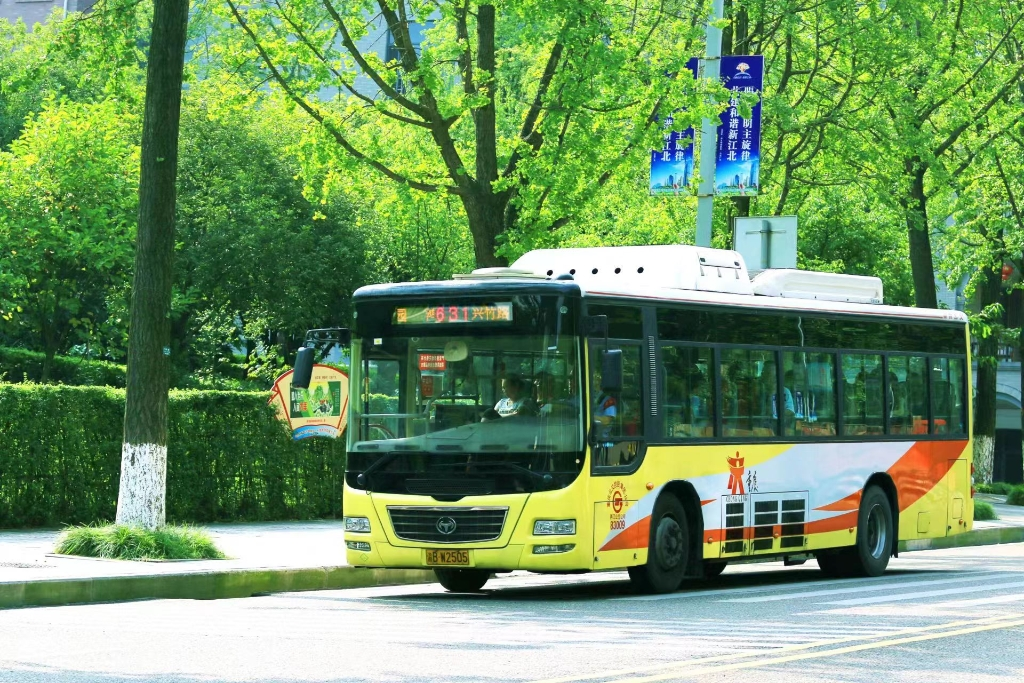 Bus Line 631 (File picture, provided by the interviewee)