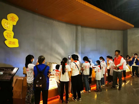 游客们正在观赏綦江博物馆陈列的木化石