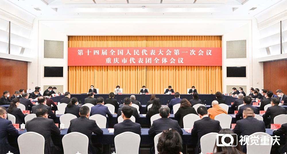 重庆代表团举行全体会议