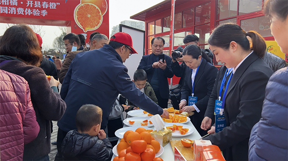 活动现场，众多市民争相尝鲜“开县春橙”。活动主办方供图 华龙网发