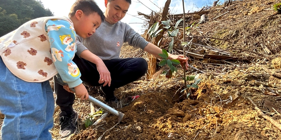 孩子在大人的带领下，种下一棵棵小树苗。活动主办方供图 华龙网发