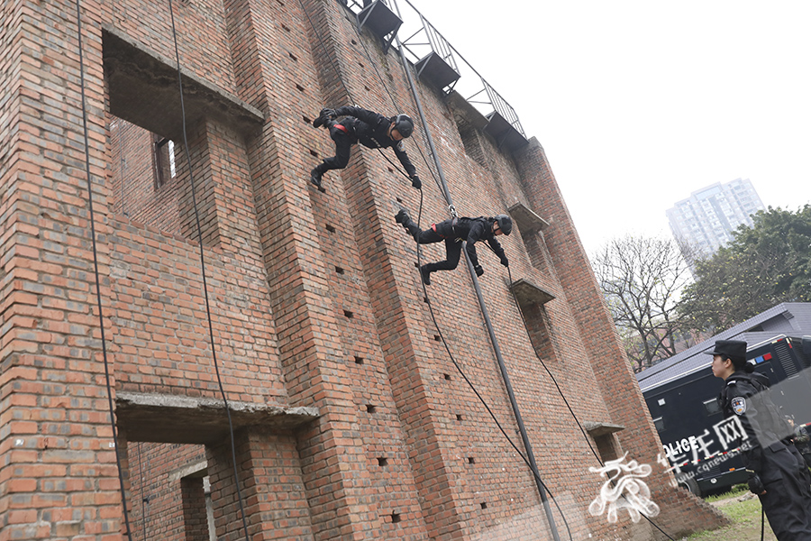 高空索降训练中的女特警们“飞檐走壁”。