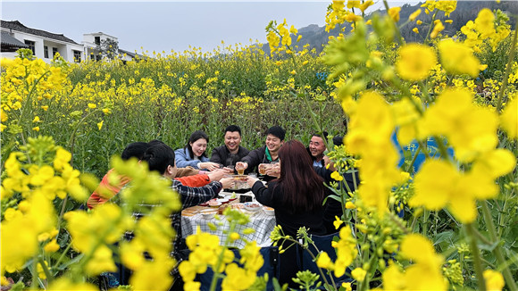 游客在花海中吃火锅。云阳县委宣传部供图 华龙网发