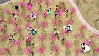 市民穿梭在绿树红花中。记者 向晓秋 摄
