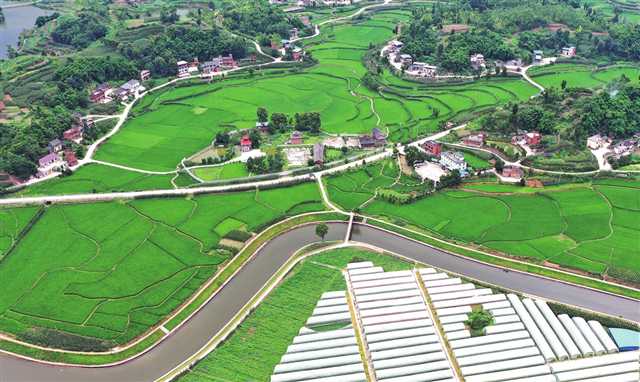 作为城乡融合发展试验区，永川高标准农田建设走在全市前列。