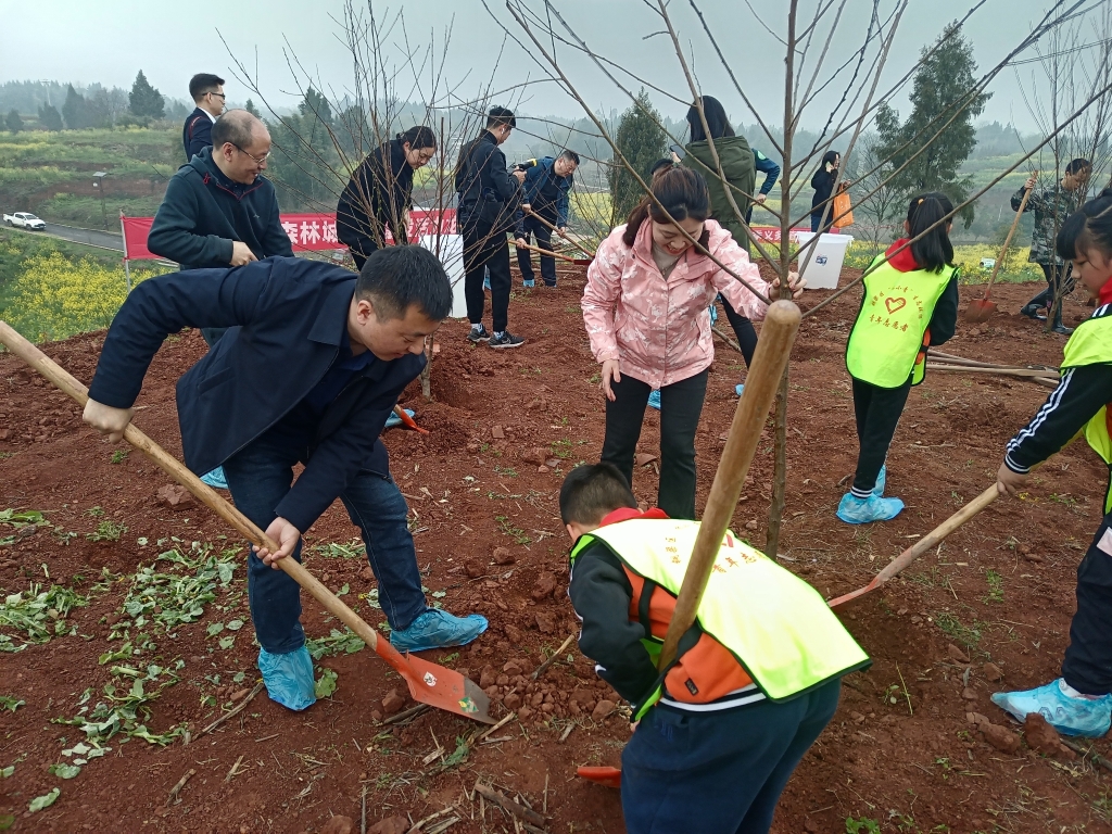 植树活动现场。团市委供图