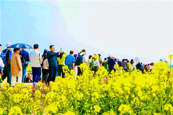 菜花节核心景区游人如织。记者 张峻豪 刘文静 摄