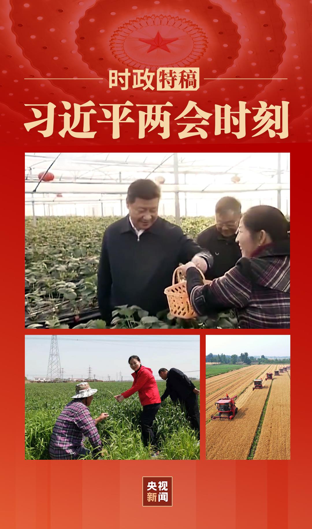 习近平两会时刻丨“像魏巧这样的同志到农村去,很好!”1