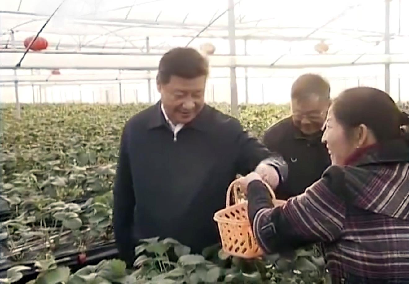 习近平两会时刻丨“像魏巧这样的同志到农村去,很好!”3