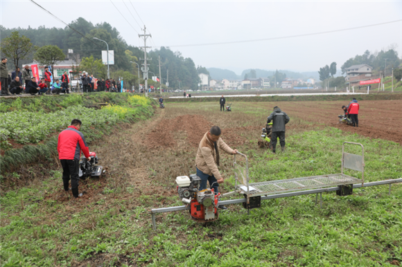 工作人员在田间展示各类农机。记者 罗莎 摄