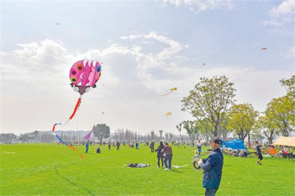 广阔的草场上游客尽情放风筝。记者 崔景印 摄