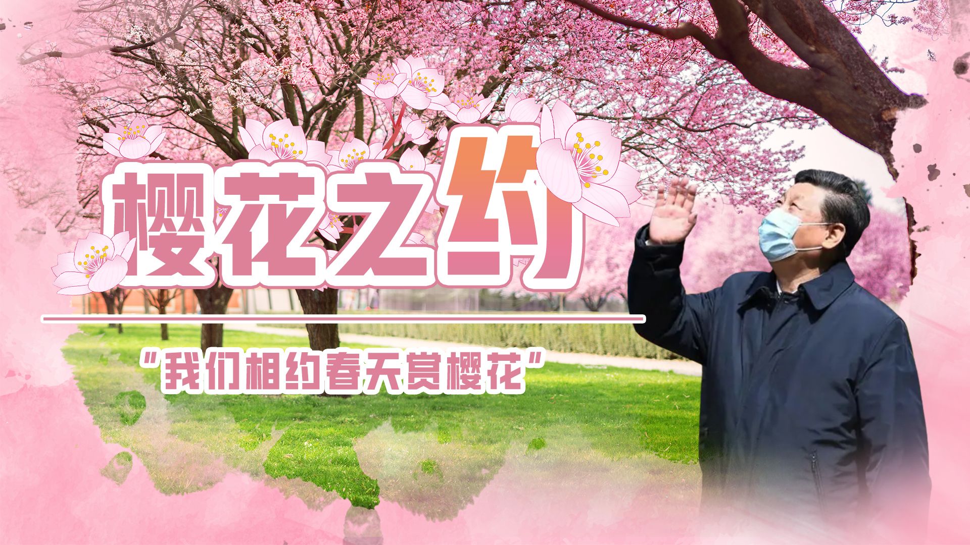 总书记，“樱”雄湖北今春更美！2