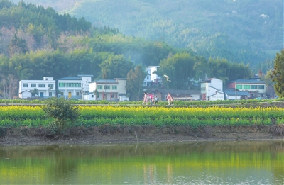 3铁门乡长塘村,金黄的油菜花倒映在池塘里，村民漫步在乡村道路上，宛若行走在一幅画中。记者 熊伟 摄